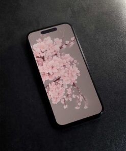 Cherry Blossoms Simple Mobile Phone Wallpaper